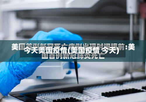 今夭美国疫情(美国疫情 今天)-第2张图片