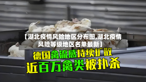 【湖北疫情风险地区分布图,湖北疫情风险等级地区名单最新】-第2张图片