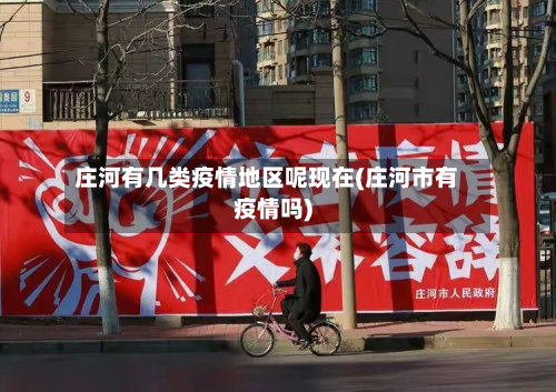 庄河有几类疫情地区呢现在(庄河市有疫情吗)