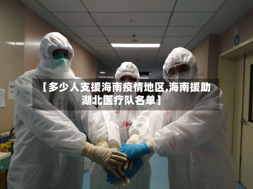 【多少人支援海南疫情地区,海南援助湖北医疗队名单】-第2张图片